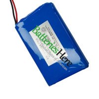 Replacement Battery for PLC JUT800